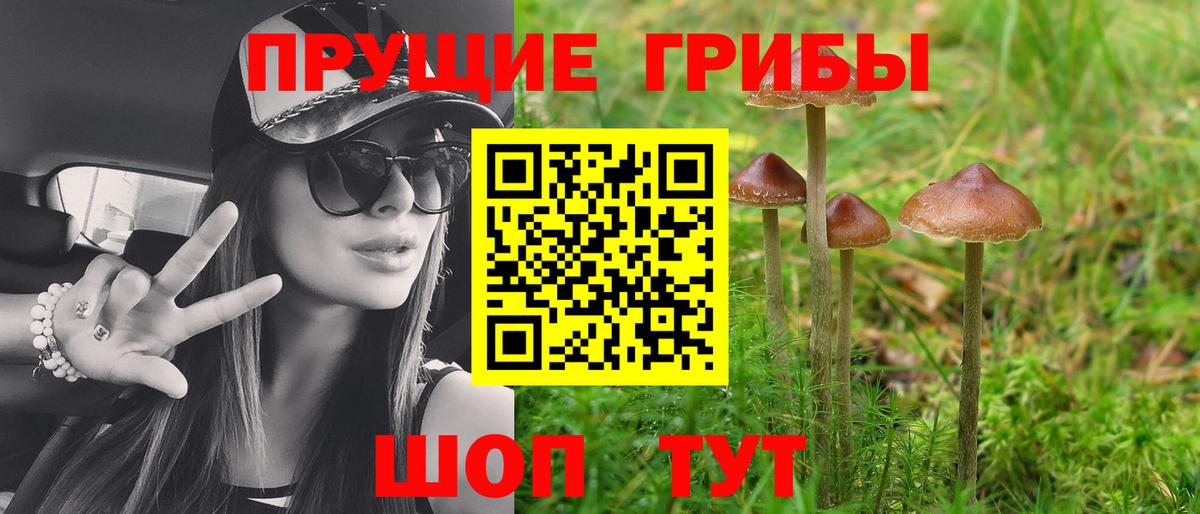 Псилоцибиновые грибы Psilocybine cubensis Лянтор